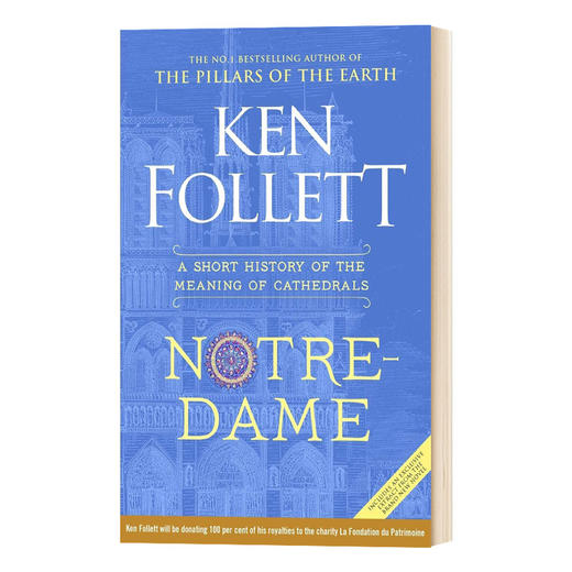 巴黎圣母院 大教堂意义简史 英文原版 Notre-Dame A Short History of the Meaning of Cathedrals 英文版 进口书 商品图0