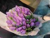 郁金香 单瓣紫色 商品缩略图0