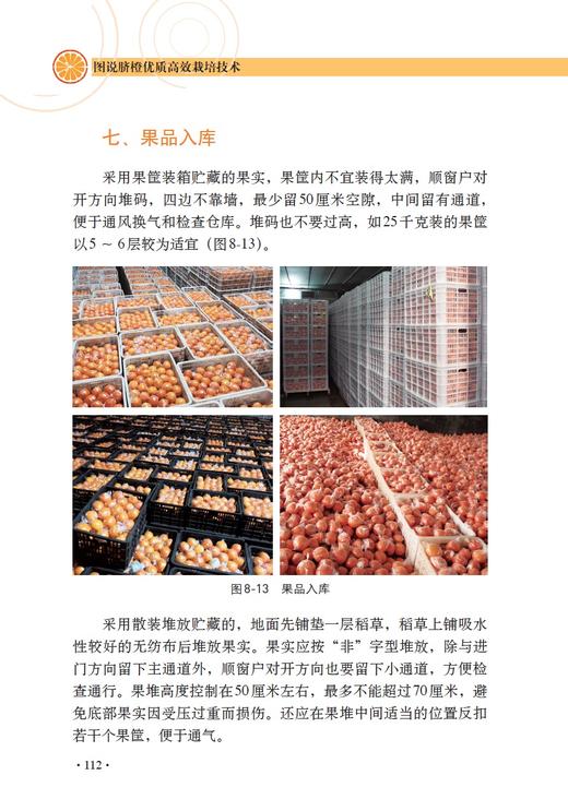 图说脐橙优质高效栽培技术 【中国农业出版社官方正版】 商品图6