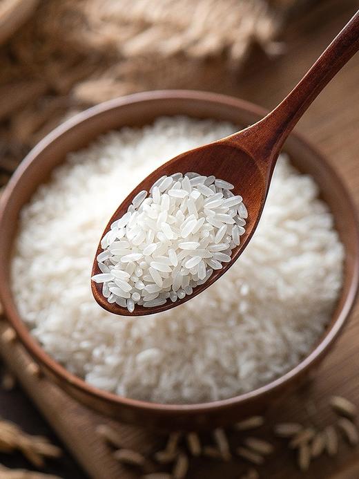 北纬45黑龙江东北大米寒地香米5kg 商品图1