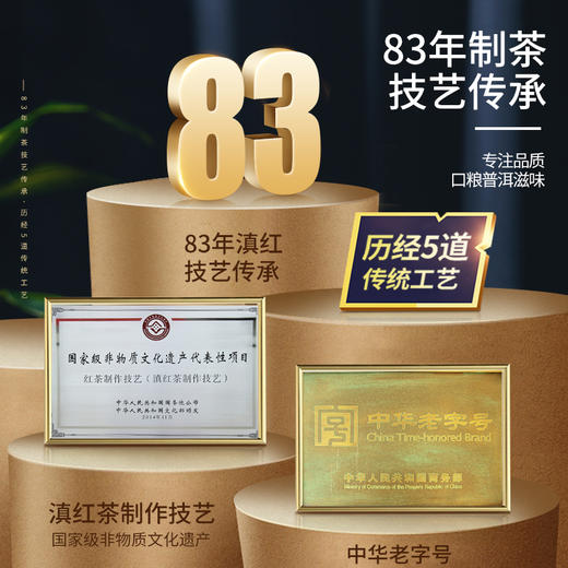 凤牌茶叶 云南高山普洱生茶郭大寨饼茶357g 商品图4