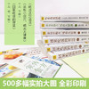 【优惠套装】【多种选择】陈允斌养生书籍全套茶包小偏方喝出大健康 吃法决定活法 回家吃饭的智慧 养生保健畅销书 商品缩略图2