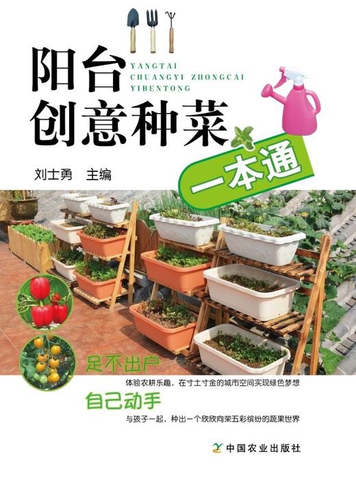 阳台创意种菜一本通【中国农业出版社官方正版】蔬菜栽培技术、蔬菜种植技术 商品图1