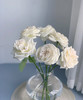 【拍市玫瑰】白荔枝 10支/扎  约60公分 商品缩略图4