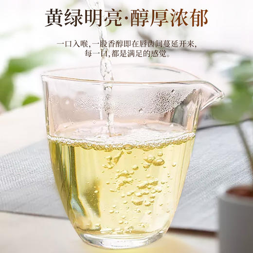 凤牌茶叶鼠你有福·普洱茶礼盒生茶茶饼357g送礼佳品 商品图3