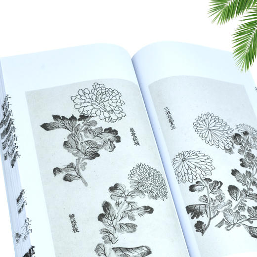 崇贤馆藏书 新书香传家《芥子园画谱精品集》（一函二册） 商品图1