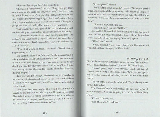 殞月之城系列4册盒装 英文原版 The Life As We Knew It Collection 青少年文学小说 纽约时报畅销书 英文版儿童英语课外阅读书籍 商品图2