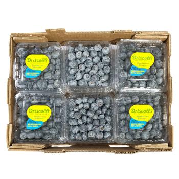 【BH】【WNX】怡颗莓蓝莓   约125g/盒 商品图2