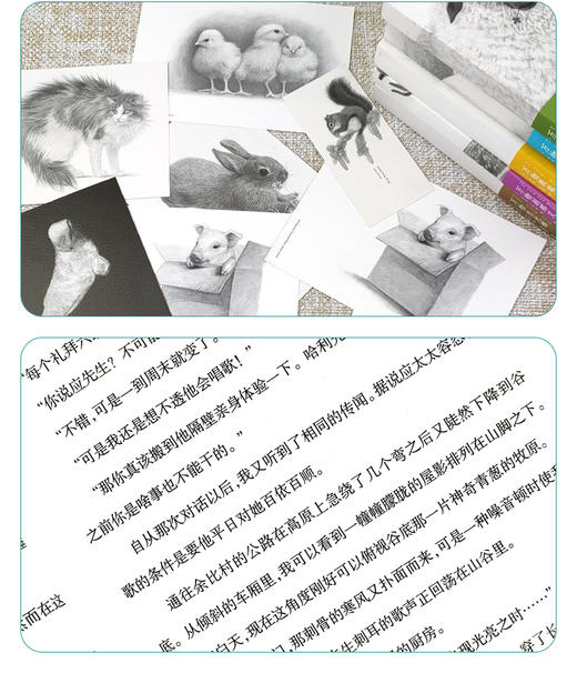 【心如健】正版包邮 万物生光辉 吉米哈利著 有灵且美系列温暖欢乐无处不幽默的动物故事外国文学长篇人与自然生命爱与欢笑 商品图1