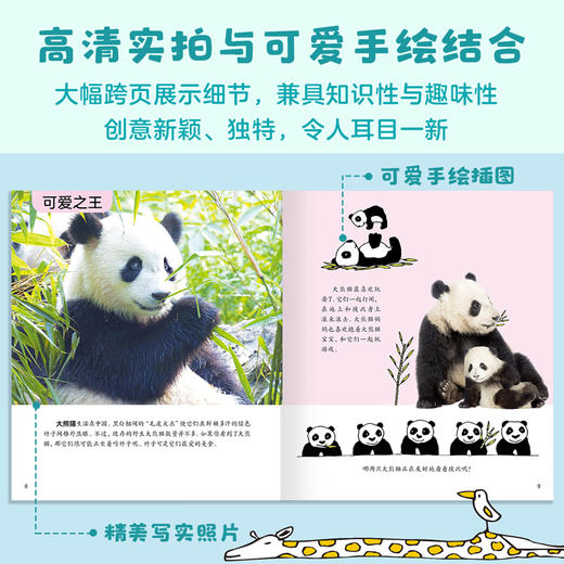 动物真有趣（共9册）动物科普百科图画书 小北极熊 商品图6