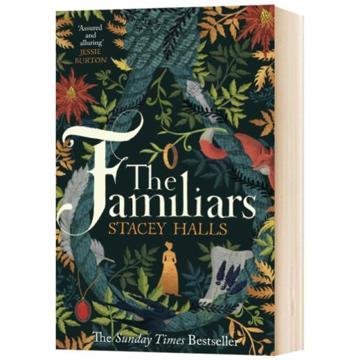 习俗 英文原版小说 The Familiars 密友 斯塔塞霍尔斯 Stacey Halls 英文版进口原版英语书籍 商品图3