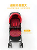 英国巧儿宜joie恩丽几何高景观超轻便携夏季可躺折叠婴儿推车 升级款 商品缩略图3