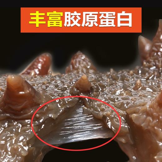 【顺丰包邮】海参深海海参冷冻即食海参500克 商品图2
