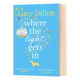 光进入的地方 英文原版小说 Where The Light Gets In 露西狄伦 Lucy Dillon 英文版进口原版英语书籍