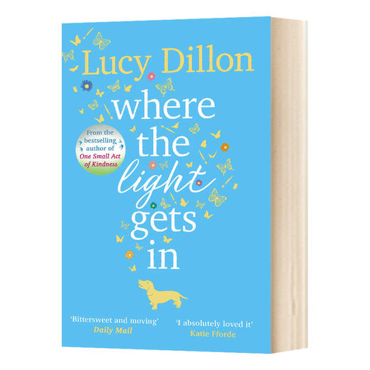 光进入的地方 英文原版小说 Where The Light Gets In 露西狄伦 Lucy Dillon 英文版进口原版英语书籍 商品图0