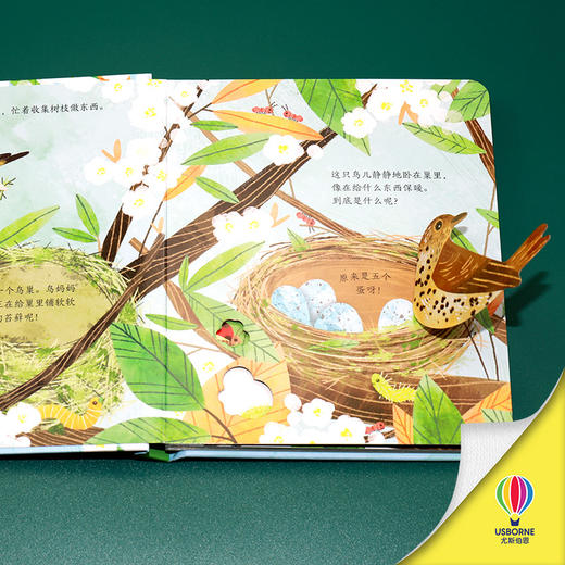 尤斯伯恩偷偷看里面 鸟儿的家 商品图1