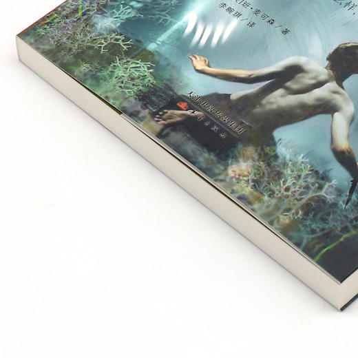 遇见灵熊(成长版)/国际大奖小说 商品图2