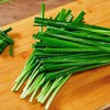 韭菜 约500g±50g  【BC】【XZ】 商品缩略图1