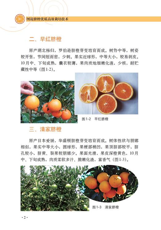 图说脐橙优质高效栽培技术 【中国农业出版社官方正版】 商品图2