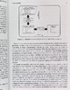 进化算法应用 多对象优化 Multi-Objective Optimization Using Evolutionary Algorithms 英文原版  Wiley 商品缩略图6