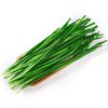 韭菜 约500g±50g  【BC】【XZ】 商品缩略图0