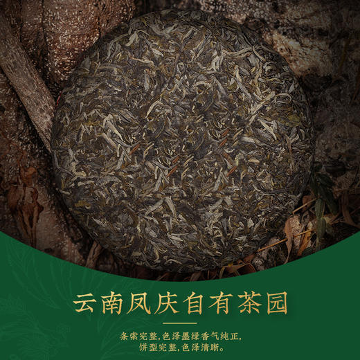 凤牌茶叶云南普洱茶叶生茶饼七子饼茶F7815普洱茶357g 商品图2