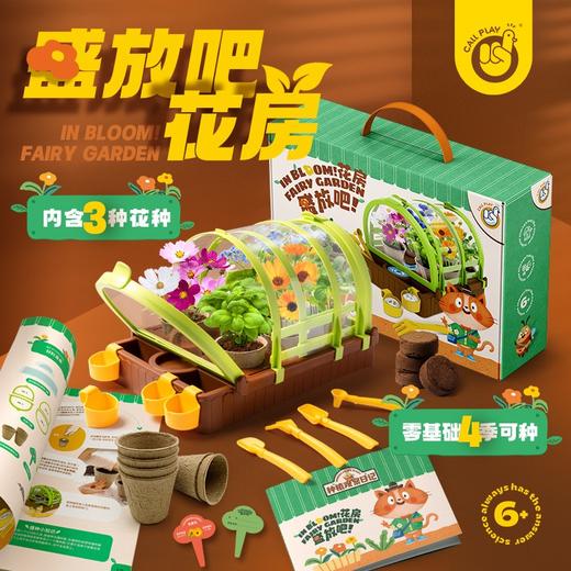 CALLPLAY科答鸭种植花房绽放吧迷你盆栽小学生生物阳光房植物儿童通用玩具 商品图1
