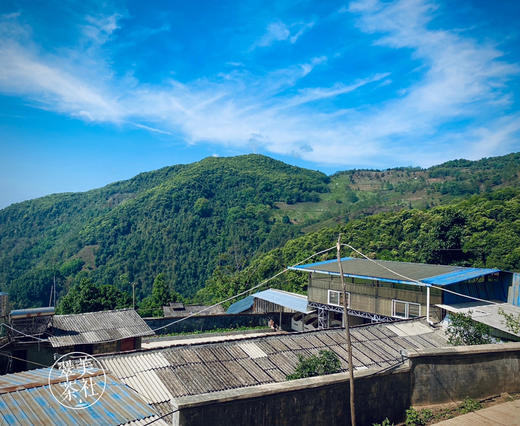 2022年【冰岛地界】头春  高锐野果香甜，悠扬冰糖韵 商品图5