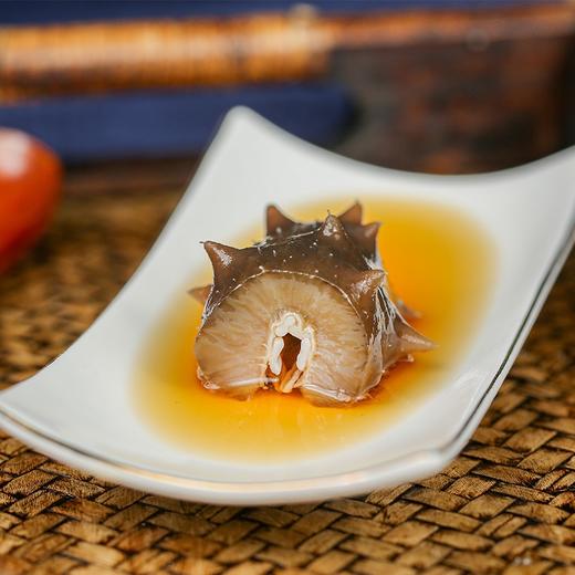 【顺丰包邮】海参深海海参冷冻即食海参500克 商品图4