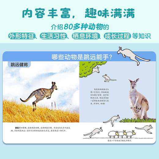动物真有趣（共9册）动物科普百科图画书 小北极熊 商品图5