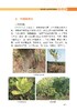 图说脐橙优质高效栽培技术 【中国农业出版社官方正版】 商品缩略图4