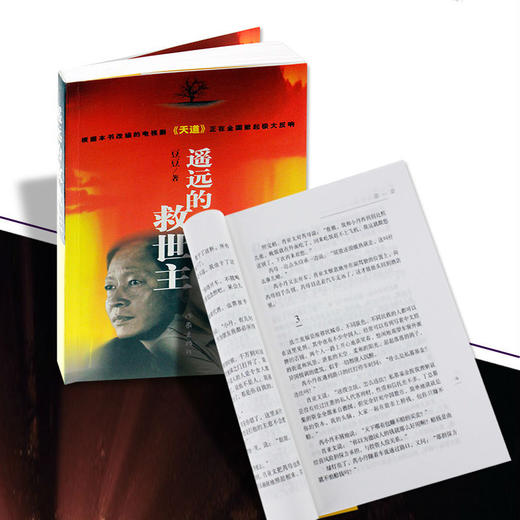 【心如健】遥远的救世主 正版书原著豆豆全套未删减版热播电视剧《天道》原著畅销中国现当代经典文学名著 一部长篇小说 之后作天幕红尘小说 商品图2