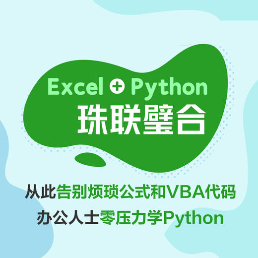 Excel+Python：飞速搞定数据分析与处理 xlwings数据处理分析Python编程 Excel办公自动化零基础 商品图2