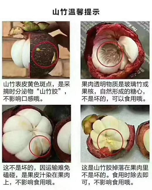 山竹 商品图1