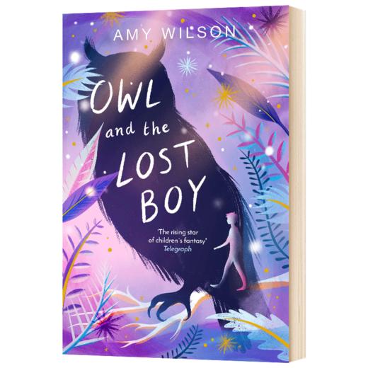 猫头鹰和迷路的男孩 英文原版小说 Owl and the Lost Boy 英文版进口原版英语书籍 商品图1