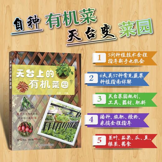 天台上的有机菜园 【中国农业出版社官方正版】 商品图0