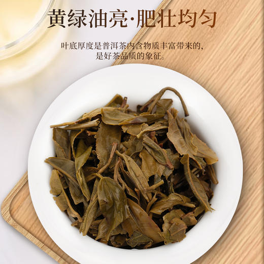 凤牌茶叶鼠你有福·普洱茶礼盒生茶茶饼357g送礼佳品 商品图4