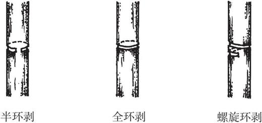 图说柑橘整形修剪 商品图7