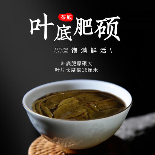 凤牌红茶 云南牵手号回龙普洱生茶饼400g/饼 商品图3