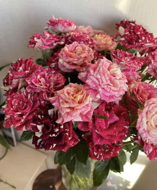 【市场多头】流星雨 10支/扎  约50公分 商品图10