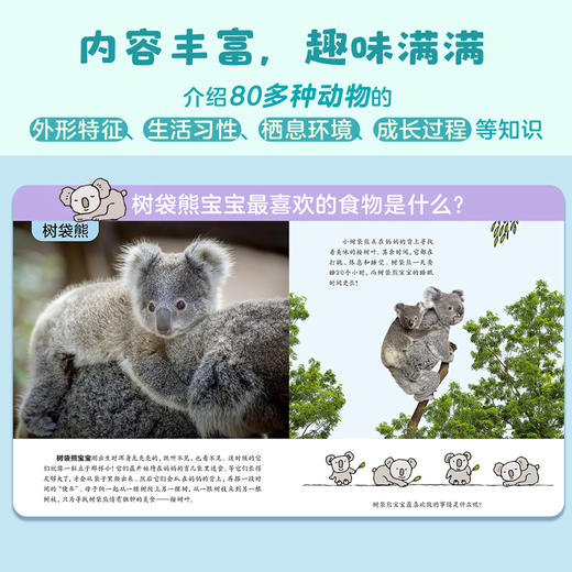 动物真有趣（共9册）动物科普百科图画书 小北极熊 商品图4
