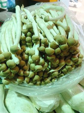 蟹味菇一斤（拼团）