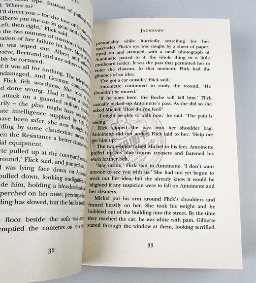 寒鸦行动 英文原版小说 Jackdaws 肯福莱特 Ken Follett 英文版外国文学悬疑推理小说 进口原版英语畅销书籍 商品图2