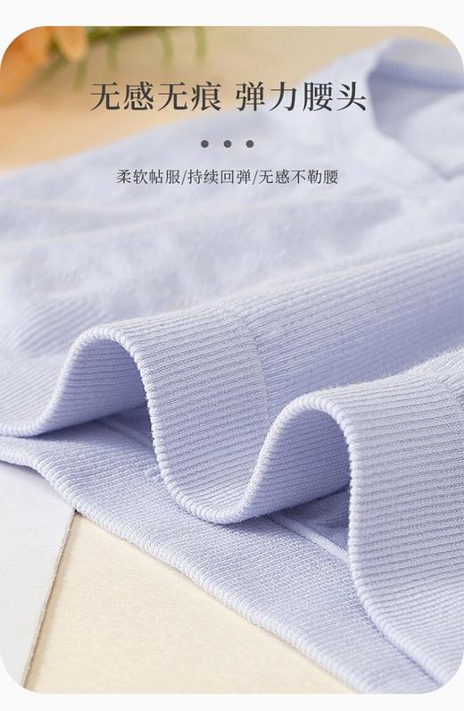 蚕丝抑菌高弹裸氨无缝女士内裤52056 商品图2