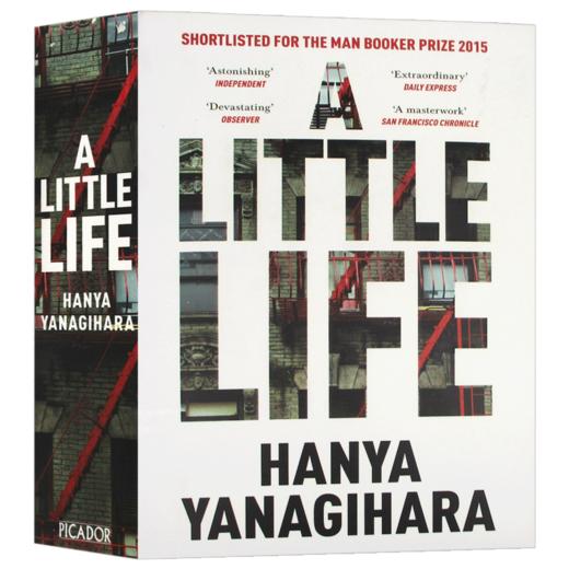 小生活 英文原版小说 A Little Life 渺小一生 英版 Hanya Yanagihara 柳原汉雅 英文版 进口原版英语书籍 商品图3
