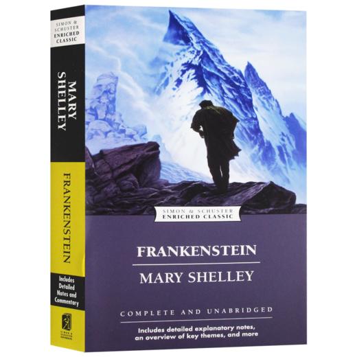 科学怪人 弗兰克斯坦 英文原版小说 Frankenstein 英文版经典名著文学小说 玛丽雪莱 Mary Shelley 进口英语书籍 商品图3