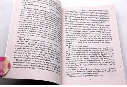 八月之光 英文原版 文学小说 Light In August 英文版原版书籍 正版进口英语书 福克纳作品 Vintage Classics 商品图3