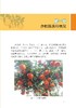 图说砂糖桔优质高效栽培技术管理 商品缩略图2