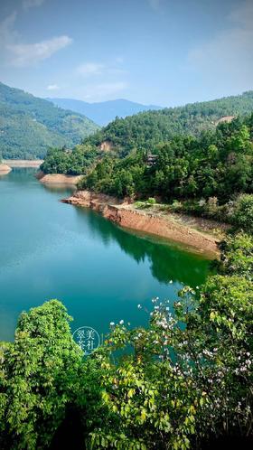 2022年【冰岛地界】头春  高锐野果香甜，悠扬冰糖韵