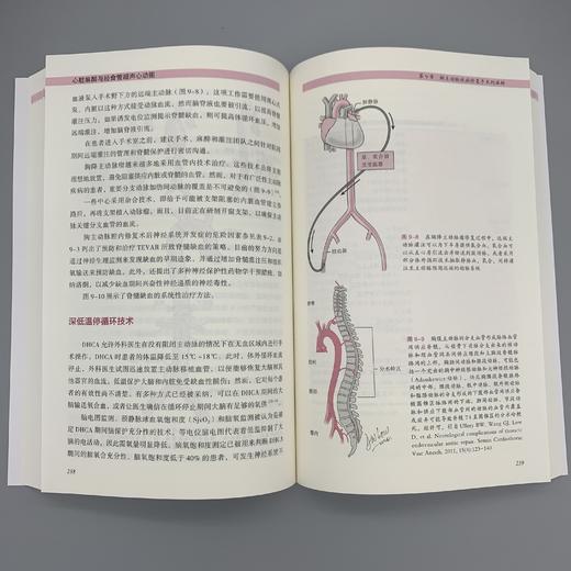 2022年新书：心脏麻醉与经食管超声心动图 雷翀译（世界图书出版西安有限公司） 商品图1